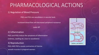 PHARMACOLOGICAL ACTIONS
1) Regulation of Blood Pressure
PGE2 and PGI2 are vasodilators in vascular beds
Increased blood flow and decreased peripheral resistance
Lower BP
2) Inflammation
PGE1 and PGE2 induce the symptomsof Inflammation
(redness, swelling etc.) due to vasodilation.
3) Reproduction
PGE2 AND PGF2α causes contraction of Uterine
smooth muscles in pregnant women.
 