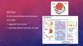 10) Eye
It decreases intraocular pressure
11) CNS
• regulate hormones
• sensitize spinal neurons to pain
 
