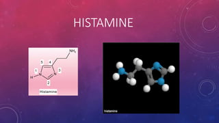 HISTAMINE
N N
NH2
1
H
2
3
4
5
Histamine
 