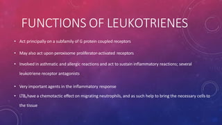 FUNCTIONS OF LEUKOTRIENES
• Act principally on a subfamily of G protein coupled receptors
• May also act upon peroxisome proliferator-activated receptors
• Involved in asthmatic and allergic reactions and act to sustain inflammatory reactions; several
leukotriene receptor antagonists
• Very important agents in the inflammatory response
• LTB4have a chemotactic effect on migrating neutrophils, and as such help to bring the necessary cells to
the tissue
 