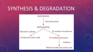 SYNTHESIS & DEGRADATION
 