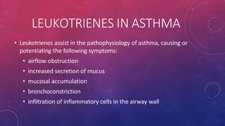 LEUKOTRIENES IN ASTHMA
• Leukotrienes assist in the pathophysiology of asthma, causing or
potentiating the following symptoms:
• airflow obstruction
• increased secretion of mucus
• mucosal accumulation
• bronchoconstriction
• infiltration of inflammatory cells in the airway wall
 