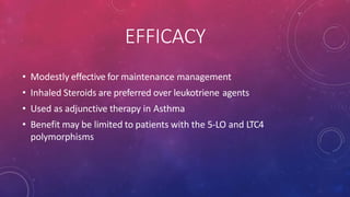 EFFICACY
• Modestly effective for maintenance management
• Inhaled Steroids are preferred over leukotriene agents
• Used as adjunctive therapy in Asthma
• Benefit may be limited to patients with the 5-LO and LTC4
polymorphisms
 