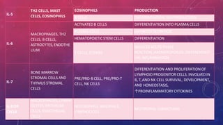 IL-5
TH2 CELLS, MAST
CELLS, EOSINOPHILS
EOSINOPHILS PRODUCTION
B CELLS DIFFERENTIATION, IGA PRODUCTION
IL-6
MACROPHAGES, TH2
CELLS, B CELLS,
ASTROCYTES,ENDOTHE
LIUM
ACTIVATEDB CELLS DIFFERENTIATION INTO PLASMA CELLS
PLASMA CELLS ANTIBODY SECRETION
HEMATOPOIETIC STEM CELLS DIFFERENTIATION
T CELLS, OTHERS
INDUCES ACUTE PHASE
REACTION, HAEMATOPOIESIS, DIFFERENTIATI
ON, INFLAMMATION
IL-7
BONE MARROW
STROMAL CELLS AND
THYMUS STROMAL
CELLS
PRE/PRO-B CELL, PRE/PRO-T
CELL, NK CELLS
DIFFERENTIATION AND PROLIFERATION OF
LYMPHOID PROGENITOR CELLS, INVOLVED IN
B, T,AND NK CELL SURVIVAL, DEVELOPMENT,
AND HOMEOSTASIS,
↑PROINFLAMMATORY CYTOKINES
IL-8 OR
CXCL8
MACROPHAGES, LYMPH
OCYTES, EPITHELIAL
CELLS, ENDOTHELIAL
NEUTROPHILS, BASOPHILS,
LYMPHOCYTES
NEUTROPHIL CHEMOTAXIS
CELLS
 