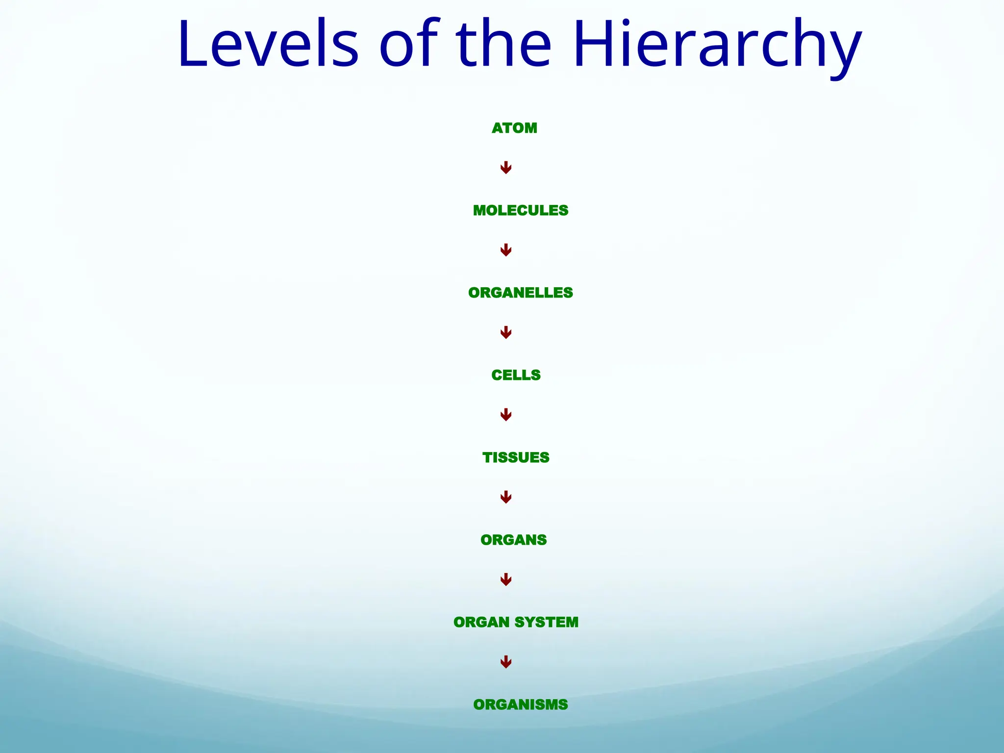 Lecture-4. Organization of the human body | PPT
