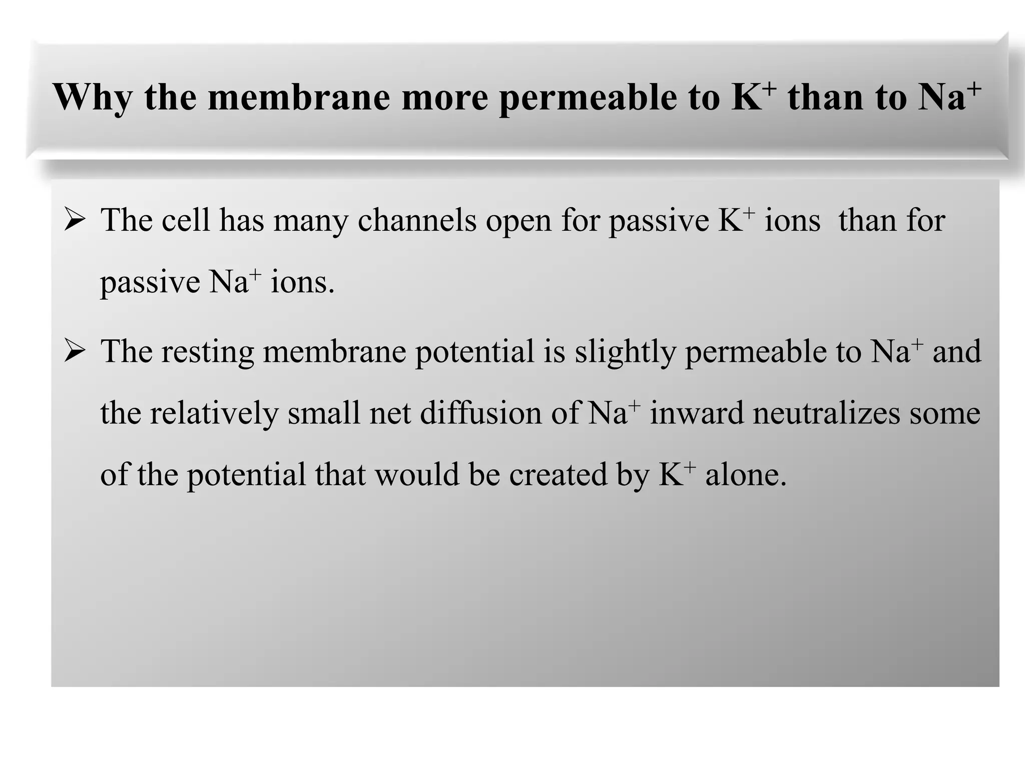 Lecture 40 resting membrane potential | PDF