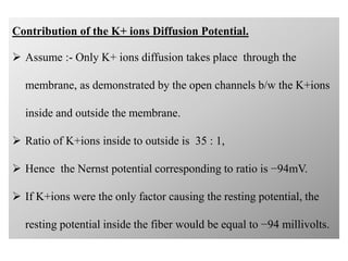 Contribution of the K+ ions Diffusion Potential.
 Assume :- Only K+ ions diffusion takes place through the
membrane, as demonstrated by the open channels b/w the K+ions
inside and outside the membrane.
 Ratio of K+ions inside to outside is 35 : 1,
 Hence the Nernst potential corresponding to ratio is −94mV.
 If K+ions were the only factor causing the resting potential, the
resting potential inside the fiber would be equal to −94 millivolts.
 