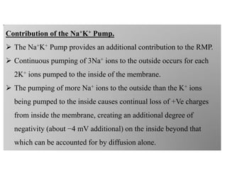 Contribution of the Na+K+ Pump.
 The Na+K+ Pump provides an additional contribution to the RMP.
 Continuous pumping of 3Na+ ions to the outside occurs for each
2K+ ions pumped to the inside of the membrane.
 The pumping of more Na+ ions to the outside than the K+ ions
being pumped to the inside causes continual loss of +Ve charges
from inside the membrane, creating an additional degree of
negativity (about −4 mV additional) on the inside beyond that
which can be accounted for by diffusion alone.
 