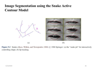 3/19/2020 36
Image Segmentation using the Snake Active
Contour Model
 