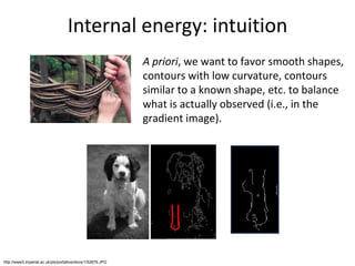 Internal energy: intuition
http://www3.imperial.ac.uk/pls/portallive/docs/1/52679.JPG
A priori, we want to favor smooth shapes,
contours with low curvature, contours
similar to a known shape, etc. to balance
what is actually observed (i.e., in the
gradient image).
 