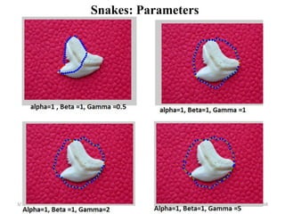 3/19/2020 68
Snakes: Parameters
 
