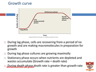 Normal Cell Growth Graph microbial nutrition and growth | PDF
