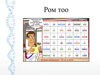 Лекц 4 (Тооллын Систем) | PPT