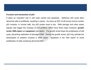 Comprehensive Overview of Tumor Suppressor Genes: Structure, Function ...