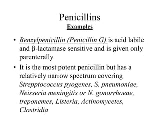 Penicillins
Examples
• Benzylpenicillin (Penicillin G) is acid labile
and b-lactamase sensitive and is given only
parenterally
• It is the most potent penicillin but has a
relatively narrow spectrum covering
Strepptococcus pyogenes, S. pneumoniae,
Neisseria meningitis or N. gonorrhoeae,
treponemes, Listeria, Actinomycetes,
Clostridia
 