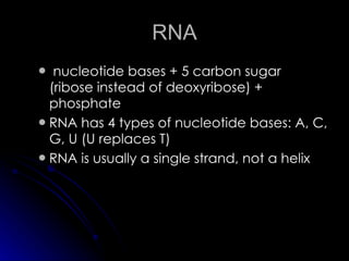 RNA nucleotide bases + 5 carbon sugar (ribose instead of deoxyribose) + phosphate  RNA has 4 types of nucleotide bases: A, C, G, U (U replaces T)  RNA is usually a single strand, not a helix  