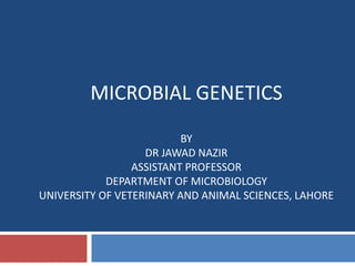 MICROBIAL GENETICS
BY
DR JAWAD NAZIR
ASSISTANT PROFESSOR
DEPARTMENT OF MICROBIOLOGY
UNIVERSITY OF VETERINARY AND ANIMAL SCIENCES, LAHORE
 