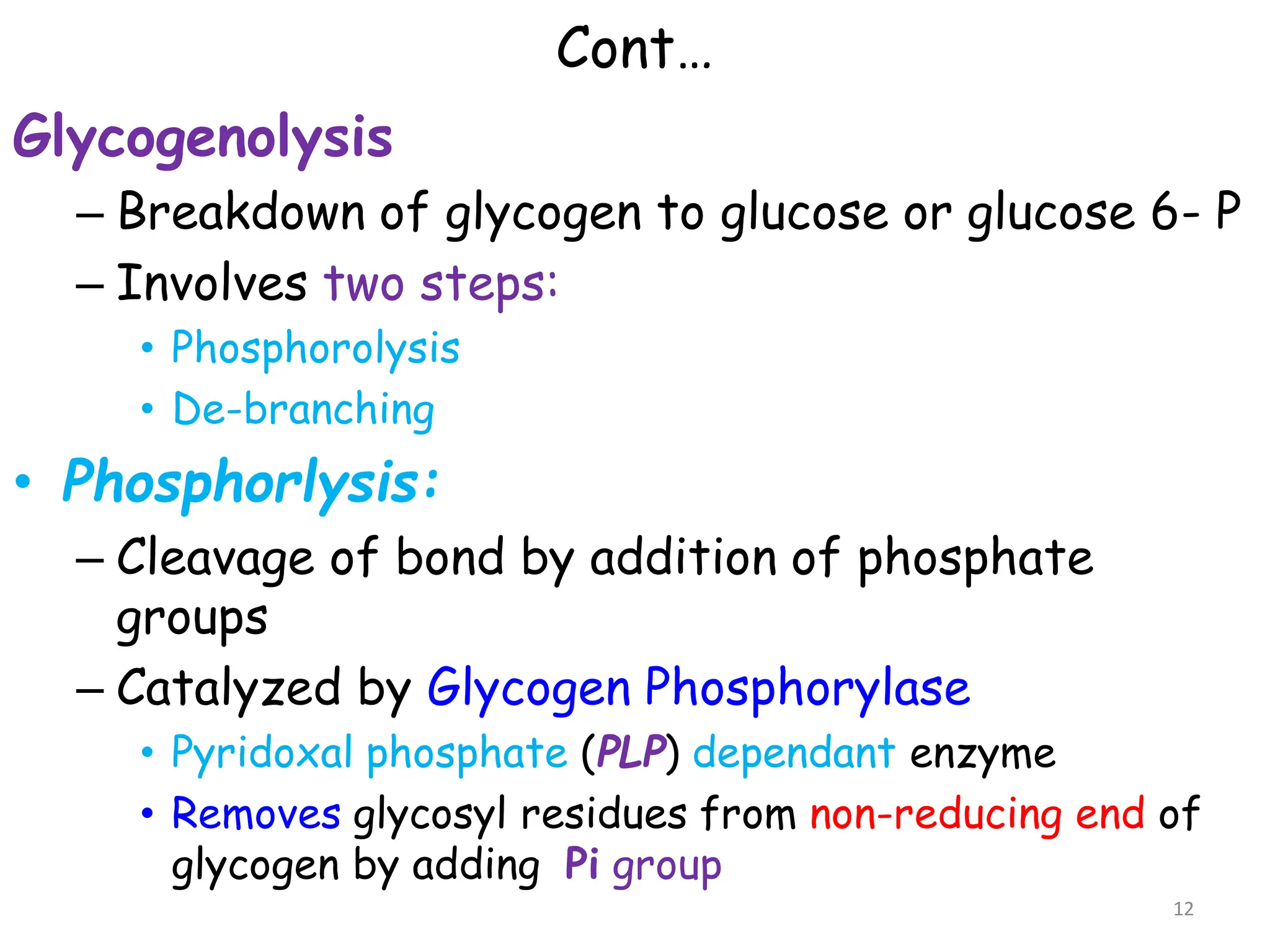 Cont…
Glycogenolysis
– Breakdown of glycogen to glucose or glucose 6- P
– Involves two steps:
• Phosphorolysis
• De-branching
• Phosphorlysis:
– Cleavage of bond by addition of phosphate
groups
– Catalyzed by Glycogen Phosphorylase
• Pyridoxal phosphate (PLP) dependant enzyme
• Removes glycosyl residues from non-reducing end of
glycogen by adding Pi group
12
 