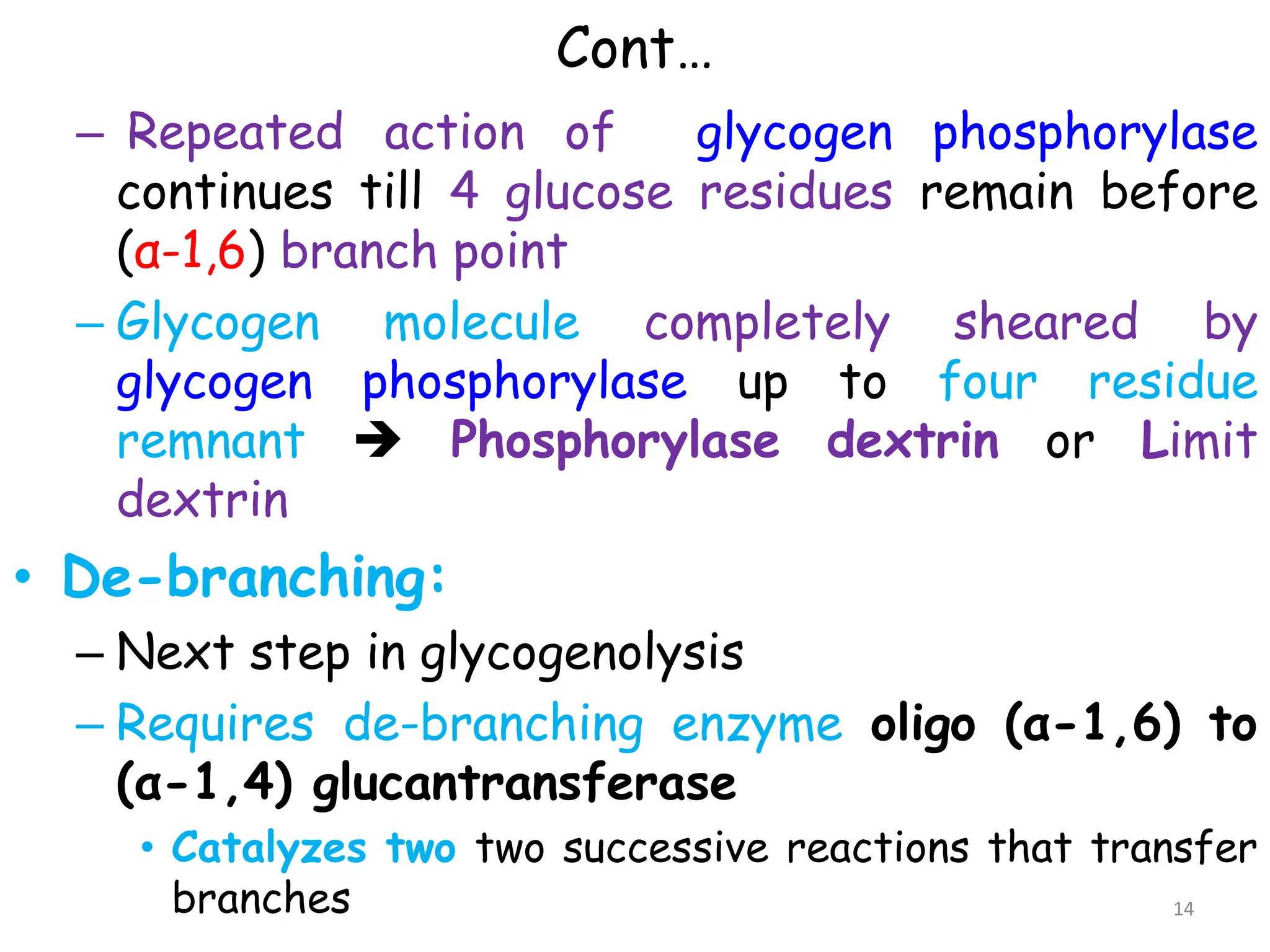 Cont…
– Repeated action of glycogen phosphorylase
continues till 4 glucose residues remain before
(α-1,6) branch point
– Glycogen molecule completely sheared by
glycogen phosphorylase up to four residue
remnant  Phosphorylase dextrin or Limit
dextrin
• De-branching:
– Next step in glycogenolysis
– Requires de-branching enzyme oligo (α-1,6) to
(α-1,4) glucantransferase
• Catalyzes two two successive reactions that transfer
branches 14
 
