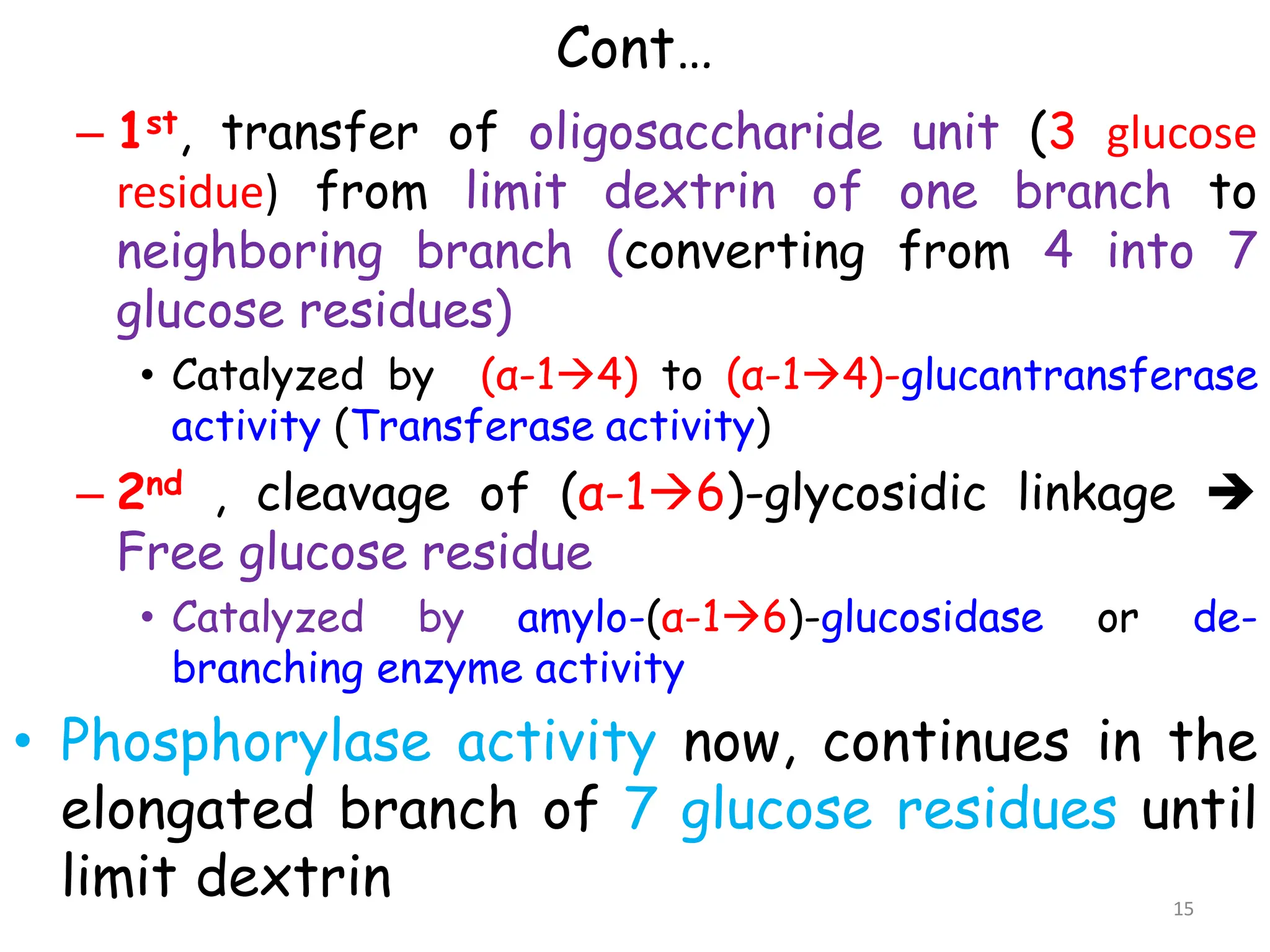 Cont…
– 1st, transfer of oligosaccharide unit (3 glucose
residue) from limit dextrin of one branch to
neighboring branch (converting from 4 into 7
glucose residues)
• Catalyzed by (α-14) to (α-14)-glucantransferase
activity (Transferase activity)
– 2nd , cleavage of (α-16)-glycosidic linkage 
Free glucose residue
• Catalyzed by amylo-(α-16)-glucosidase or de-
branching enzyme activity
• Phosphorylase activity now, continues in the
elongated branch of 7 glucose residues until
limit dextrin 15
 