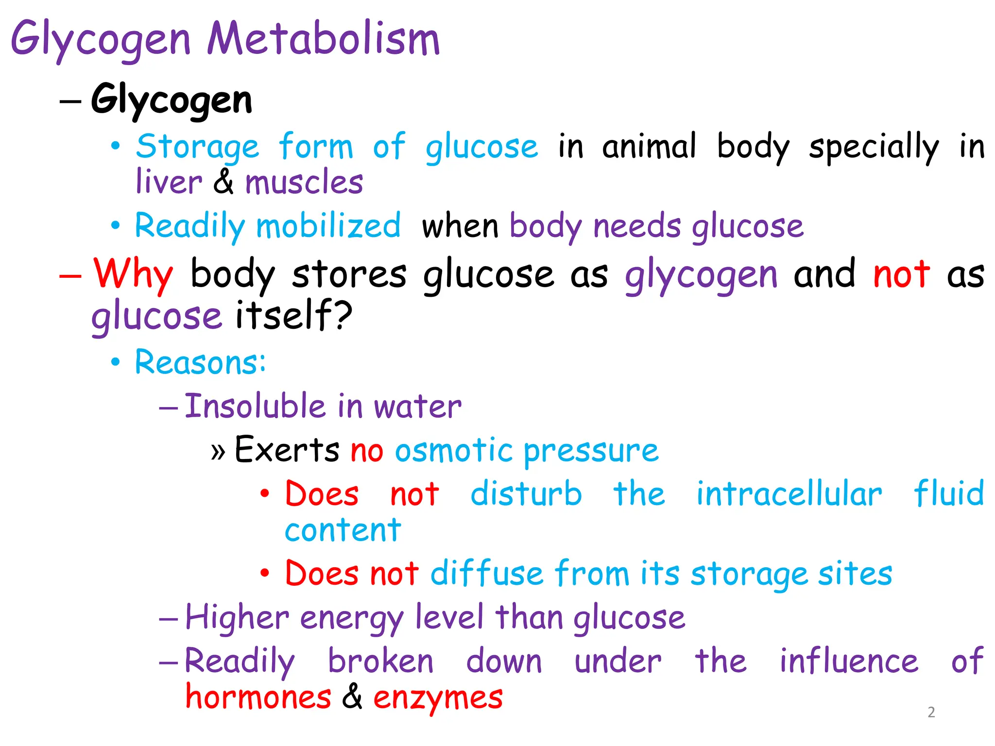Glycogen Metabolism
– Glycogen
• Storage form of glucose in animal body specially in
liver & muscles
• Readily mobilized when body needs glucose
– Why body stores glucose as glycogen and not as
glucose itself?
• Reasons:
– Insoluble in water
» Exerts no osmotic pressure
• Does not disturb the intracellular fluid
content
• Does not diffuse from its storage sites
– Higher energy level than glucose
– Readily broken down under the influence of
hormones & enzymes 2
 