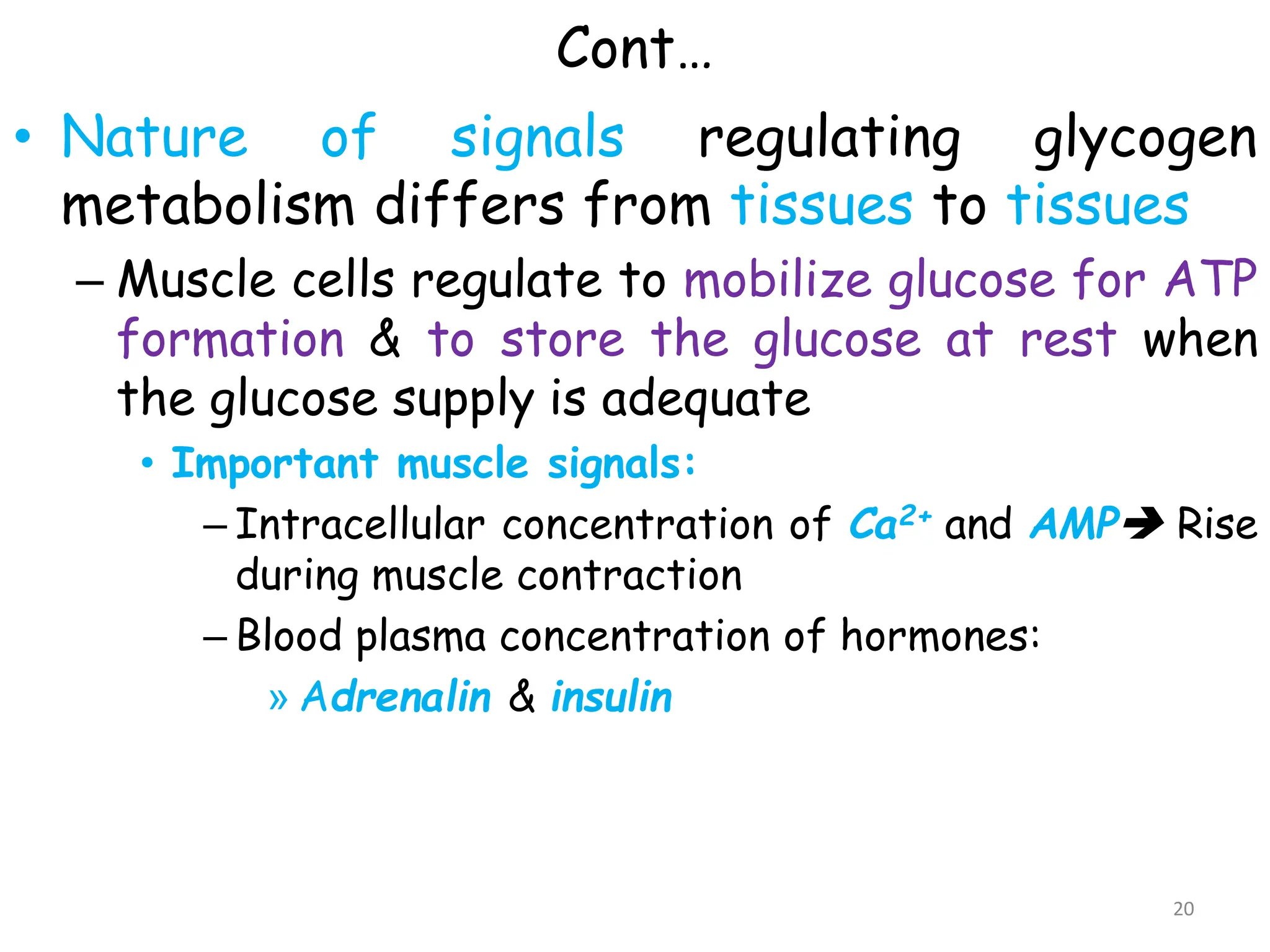 Cont…
• Nature of signals regulating glycogen
metabolism differs from tissues to tissues
– Muscle cells regulate to mobilize glucose for ATP
formation & to store the glucose at rest when
the glucose supply is adequate
• Important muscle signals:
– Intracellular concentration of Ca2+ and AMP Rise
during muscle contraction
– Blood plasma concentration of hormones:
» Adrenalin & insulin
20
 
