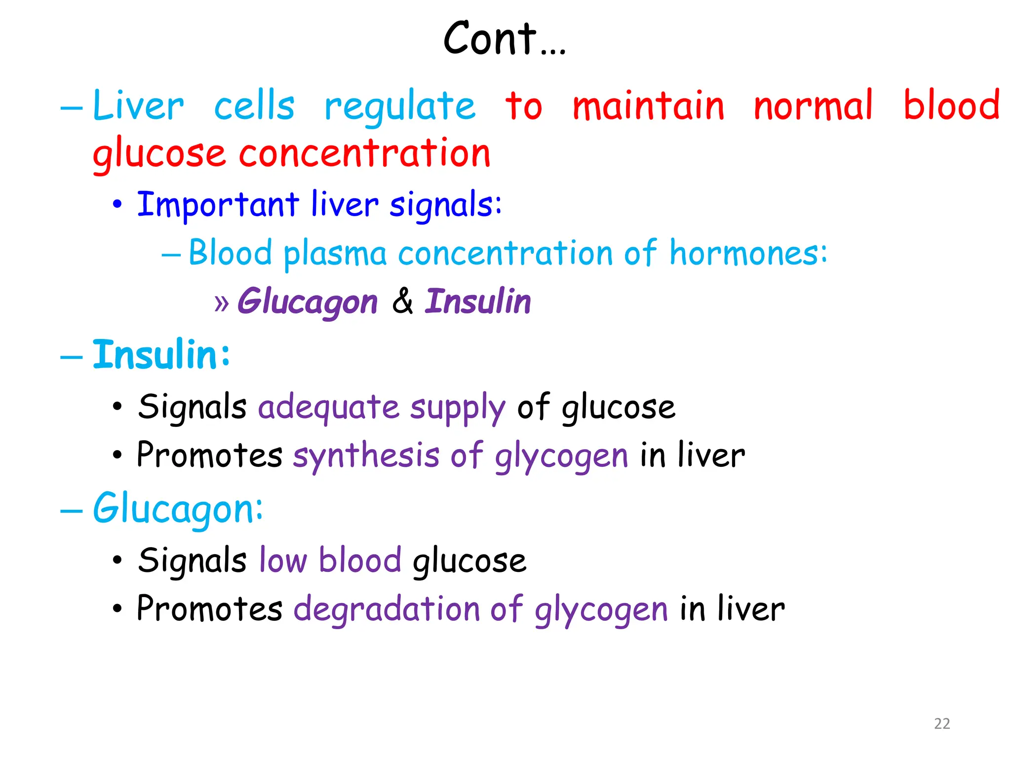 Cont…
– Liver cells regulate to maintain normal blood
glucose concentration
• Important liver signals:
– Blood plasma concentration of hormones:
» Glucagon & Insulin
– Insulin:
• Signals adequate supply of glucose
• Promotes synthesis of glycogen in liver
– Glucagon:
• Signals low blood glucose
• Promotes degradation of glycogen in liver
22
 