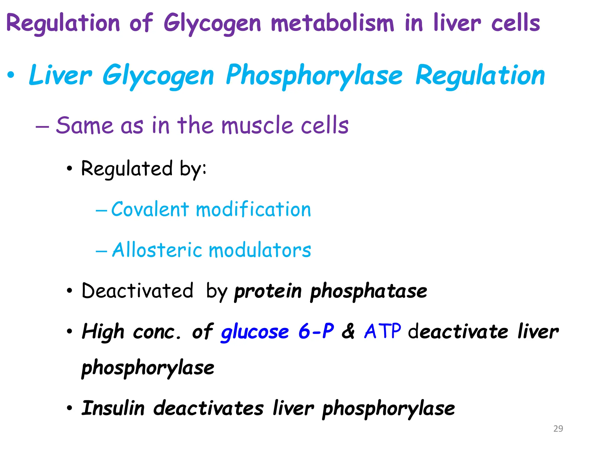 Regulation of Glycogen metabolism in liver cells
• Liver Glycogen Phosphorylase Regulation
– Same as in the muscle cells
• Regulated by:
– Covalent modification
– Allosteric modulators
• Deactivated by protein phosphatase
• High conc. of glucose 6-P & ATP deactivate liver
phosphorylase
• Insulin deactivates liver phosphorylase
29
 