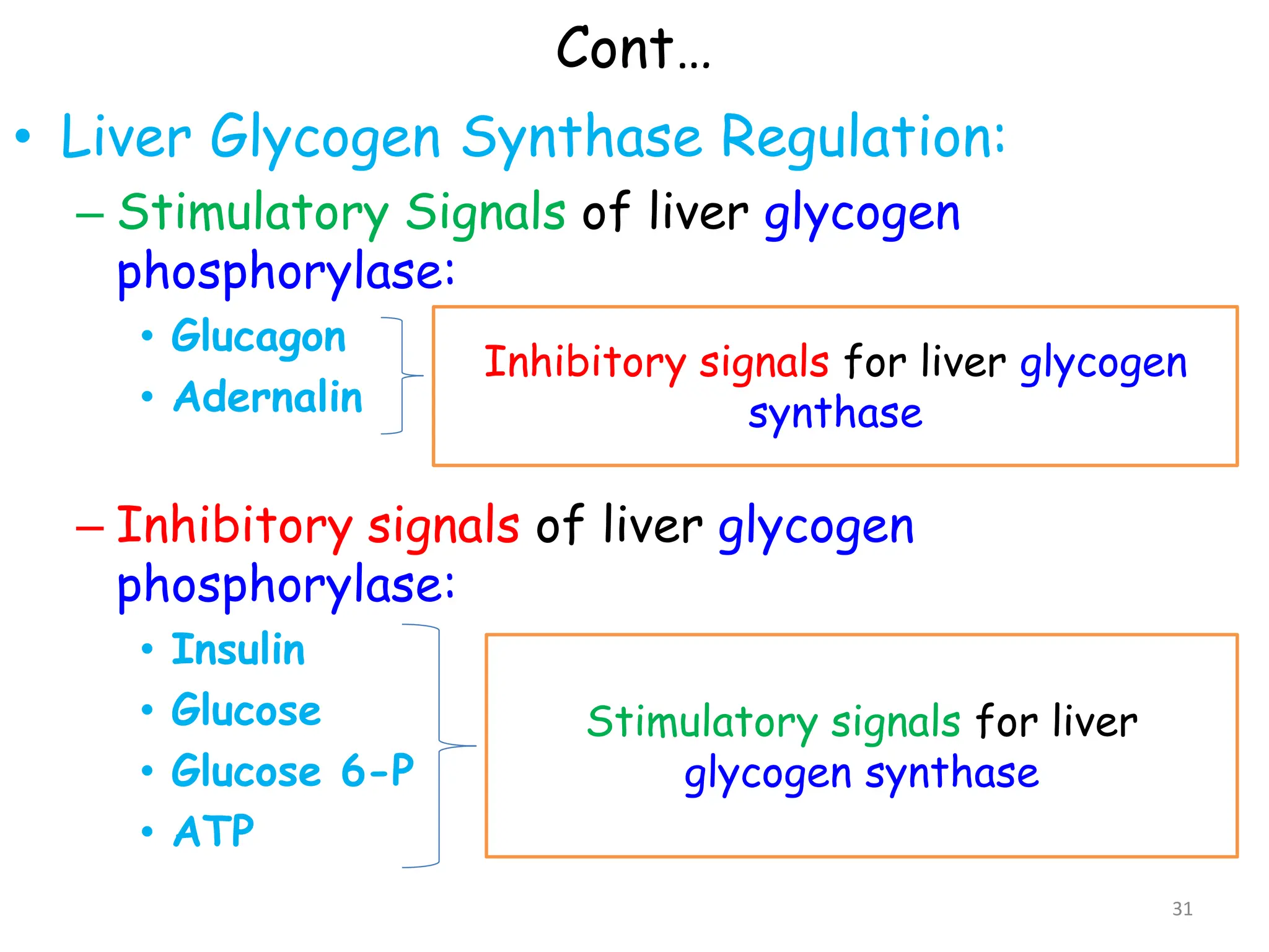 Cont…
• Liver Glycogen Synthase Regulation:
– Stimulatory Signals of liver glycogen
phosphorylase:
• Glucagon
• Adernalin
– Inhibitory signals of liver glycogen
phosphorylase:
• Insulin
• Glucose
• Glucose 6-P
• ATP
Inhibitory signals for liver glycogen
synthase
Stimulatory signals for liver
glycogen synthase
31
 