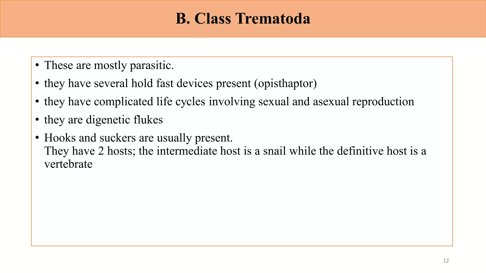 B. Class Trematoda
• These are mostly parasitic.
• they have several hold fast devices present (opisthaptor)
• they have complicated life cycles involving sexual and asexual reproduction
• they are digenetic flukes
• Hooks and suckers are usually present.
They have 2 hosts; the intermediate host is a snail while the definitive host is a
vertebrate
12
 