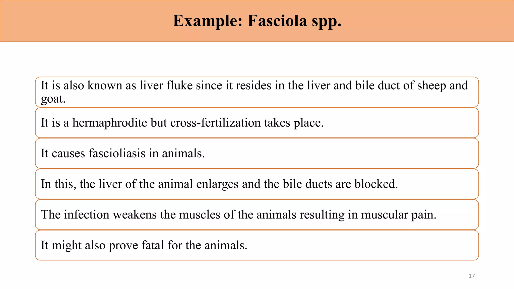 Example: Fasciola spp.
It is also known as liver fluke since it resides in the liver and bile duct of sheep and
goat.
It is a hermaphrodite but cross-fertilization takes place.
It causes fascioliasis in animals.
In this, the liver of the animal enlarges and the bile ducts are blocked.
The infection weakens the muscles of the animals resulting in muscular pain.
It might also prove fatal for the animals.
17
 