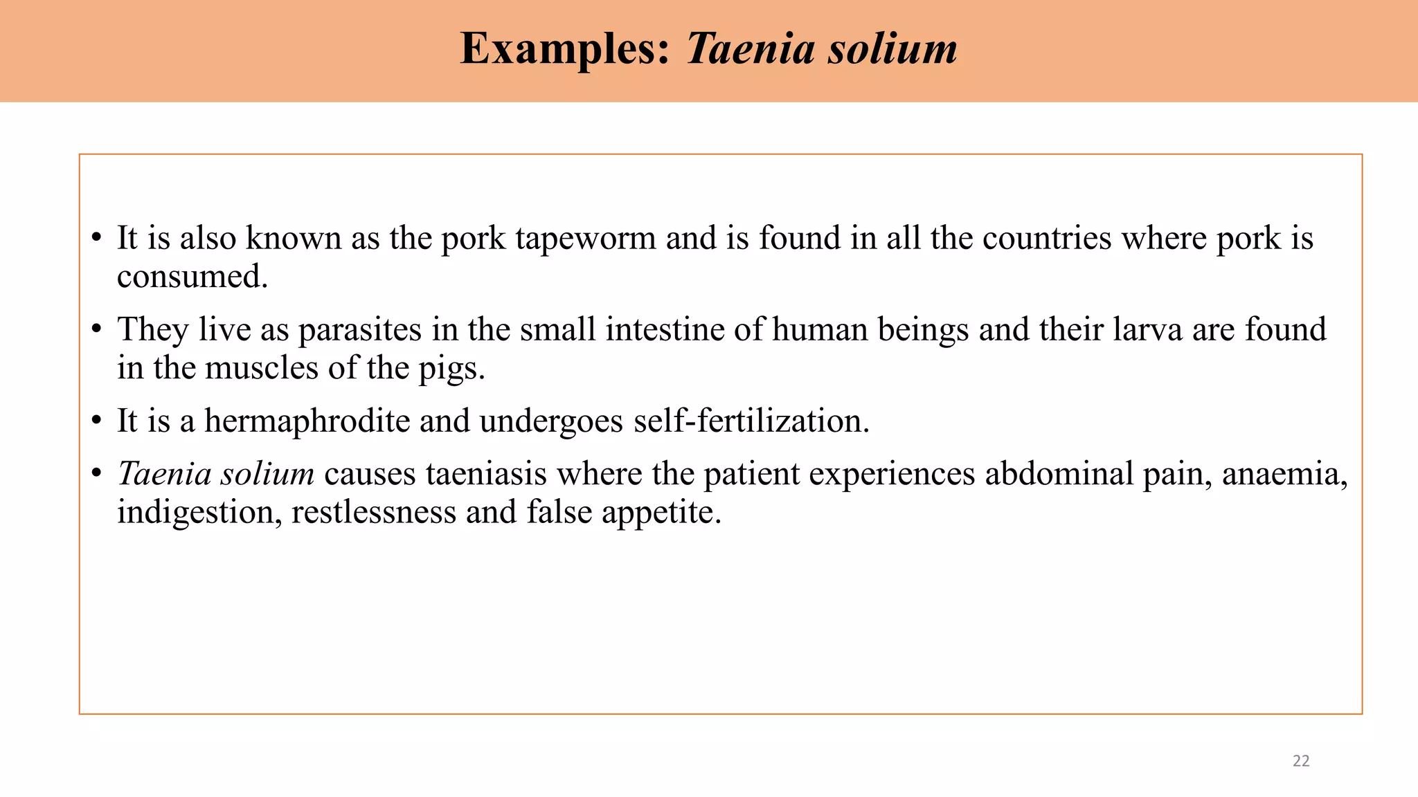 Examples: Taenia solium
• It is also known as the pork tapeworm and is found in all the countries where pork is
consumed.
• They live as parasites in the small intestine of human beings and their larva are found
in the muscles of the pigs.
• It is a hermaphrodite and undergoes self-fertilization.
• Taenia solium causes taeniasis where the patient experiences abdominal pain, anaemia,
indigestion, restlessness and false appetite.
22
 