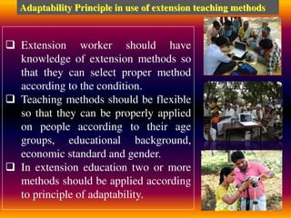  Extension worker should have
knowledge of extension methods so
that they can select proper method
according to the condition.
 Teaching methods should be flexible
so that they can be properly applied
on people according to their age
groups, educational background,
economic standard and gender.
 In extension education two or more
methods should be applied according
to principle of adaptability.
Adaptability Principle in use of extension teaching methods
 