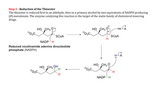 Hioester R Lecture-6.pptx