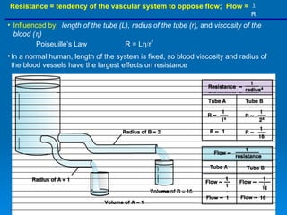 Lecture.6 bp | PPT