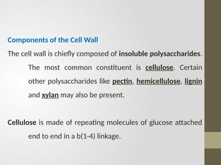 Components of the Cell Wall
The cell wall is chiefly composed of insoluble polysaccharides.
The most common constituent is cellulose. Certain
other polysaccharides like pectin, hemicellulose, lignin
and xylan may also be present.
Cellulose is made of repeating molecules of glucose attached
end to end in a b(1-4) linkage.
 