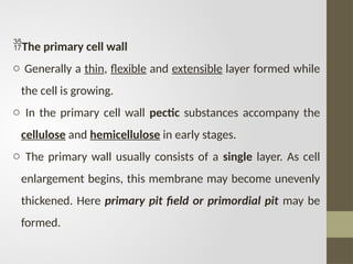 The primary cell wall
o Generally a thin, flexible and extensible layer formed while
the cell is growing.
o In the primary cell wall pectic substances accompany the
cellulose and hemicellulose in early stages.
o The primary wall usually consists of a single layer. As cell
enlargement begins, this membrane may become unevenly
thickened. Here primary pit field or primordial pit may be
formed.
 