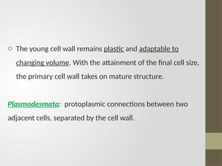 o The young cell wall remains plastic and adaptable to
changing volume. With the attainment of the final cell size,
the primary cell wall takes on mature structure.
Plasmodesmata: protoplasmic connections between two
adjacent cells, separated by the cell wall.
 