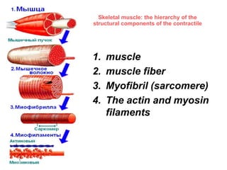 Lecture 6- contraction | PPTX
