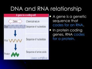 DNA and RNA relationship ,[object Object],[object Object]