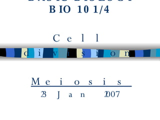 BASIC BIOLOGY BIO 101/4 Cell division  Meiosis 23 Jan 2007 