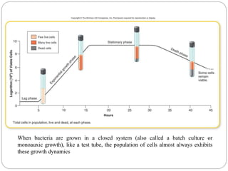 When bacteria are grown in a closed system (also called a batch culture or
monoauxic growth), like a test tube, the population of cells almost always exhibits
these growth dynamics
 