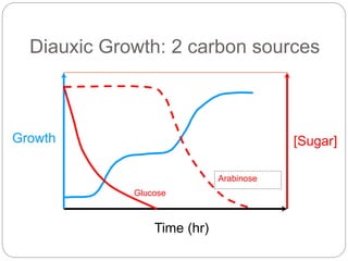 Diauxic Growth: 2 carbon sources
Time (hr)
Growth [Sugar]
Glucose
Arabinose
 