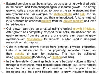  External conditions can be changed, so as to arrest growth of all cells
in the culture, and then changed again to resume growth. The newly
growing cells are now all starting to grow at the same stage, and they
are synchronized. For example, for photosynthetic cells light can be
eliminated for several hours and then re-introduced. Another method
is to eliminate an essential nutrient from the growth medium and later
to re-introduce it.
 Cell growth can also be arrested using chemical growth inhibitors.
After growth has completely stopped for all cells, the inhibitor can be
easily removed from the culture and the cells then begin to grow
synchronously. Nocodazole, for example, is often used in biological
research for this purpose.
 Cells in different growth stages have different physical properties.
Cells in a culture can thus be physically separated based on
their density or size, for instance. This can be achieved
using centrifugation (for density) or filtration (for size).
 In the Helmstetter-Cummings technique, a bacterial culture is filtered
through a membrane. Most bacteria pass through, but some remain
bound to the membrane. Fresh medium is then applied to the
membrane and the bound bacteria start to grow. Newborn bacteria
 