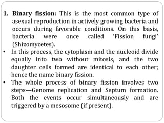 1. Binary fission: This is the most common type of
asexual reproduction in actively growing bacteria and
occurs during favorable conditions. On this basis,
bacteria were once called ‘Fission fungi’
(Shizomycetes).
• In this process, the cytoplasm and the nucleoid divide
equally into two without mitosis, and the two
daughter cells formed are identical to each other;
hence the name binary fission.
• The whole process of binary fission involves two
steps—Genome replication and Septum formation.
Both the events occur simultaneously and are
triggered by a mesosome (if present).
 