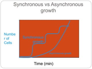 Synchronous vs Asynchronous
growth
Time (min)
Numbe
r of
Cells
Asynchronous growth
Synchronous
growth
 