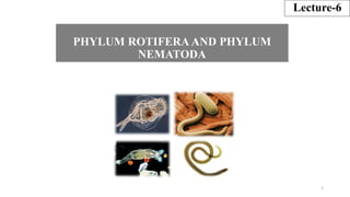 PHYLUM ROTIFERA AND PHYLUM
NEMATODA
Lecture-6
1
 