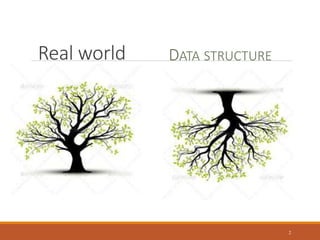 Real world
2
DATA STRUCTURE
 