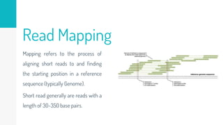 Read Mapping
Mapping refers to the process of
aligning short reads to and finding
the starting position in a reference
sequence (typically Genome).
Short read generally are reads with a
length of 30-350 base pairs.
 