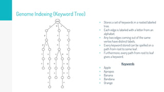 Genome Indexing (Keyword Tree)
▹ Stores a set of keywords in a rooted labeled
tree.
▹ Each edge is labeled with a letter from an
alphabet.
▹ Any two edges coming out of the same
vertex have distinct labels.
▹ Every keyword stored can be spelled on a
path from root to some leaf.
▹ Furthermore, every path from root to leaf
gives a keyword.
Keywords
▹ Apple
▹ Apropos
▹ Banana
▹ Bandana
▹ Orange
 